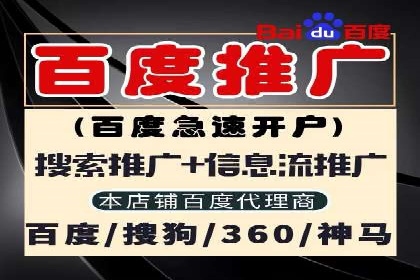 百度竞价推广代运营经典案例分析